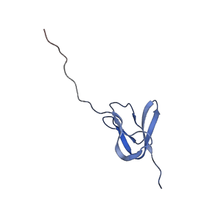 33096_7xam_X_v1-0
Mycobacterium smegmatis 50S ribosomal subunit from Stationary phase of growth
