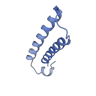33096_7xam_Z_v1-0
Mycobacterium smegmatis 50S ribosomal subunit from Stationary phase of growth