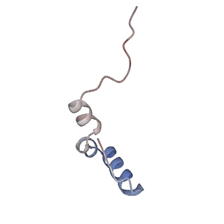 33096_7xam_d_v1-0
Mycobacterium smegmatis 50S ribosomal subunit from Stationary phase of growth