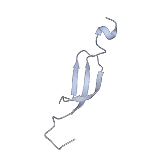 33096_7xam_g_v1-0
Mycobacterium smegmatis 50S ribosomal subunit from Stationary phase of growth