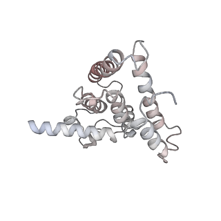 33097_7xaq_A_v1-1
Cryo-EM structure of PvrA-DNA complex