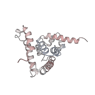 33097_7xaq_B_v1-1
Cryo-EM structure of PvrA-DNA complex