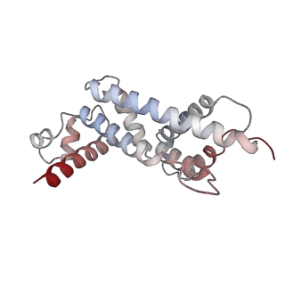 33097_7xaq_C_v1-1
Cryo-EM structure of PvrA-DNA complex