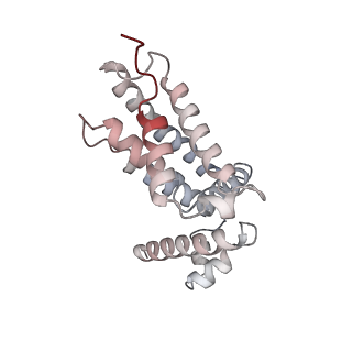 33097_7xaq_D_v1-1
Cryo-EM structure of PvrA-DNA complex