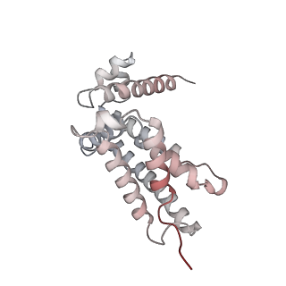 33097_7xaq_G_v1-1
Cryo-EM structure of PvrA-DNA complex