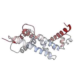 33097_7xaq_H_v1-1
Cryo-EM structure of PvrA-DNA complex