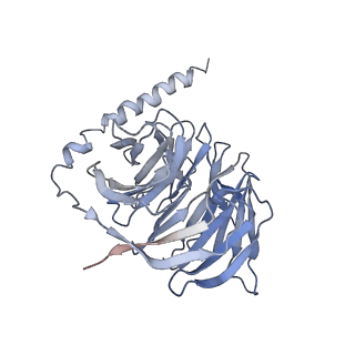 33099_7xau_C_v1-0
Structure of somatostatin receptor 2 bound with octreotide.