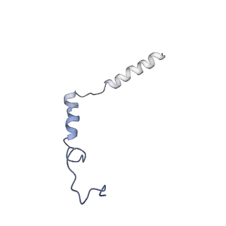 33099_7xau_D_v1-0
Structure of somatostatin receptor 2 bound with octreotide.
