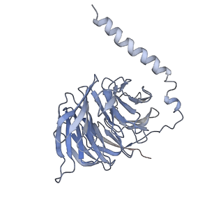 33100_7xav_C_v1-0
Structure of somatostatin receptor 2 bound with lanreotide.
