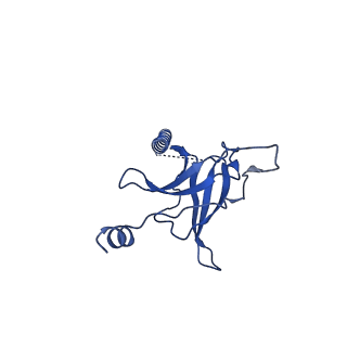 22116_6xbd_A_v1-3
Cryo-EM structure of MlaFEDB in nanodiscs with phospholipid substrates