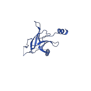 22116_6xbd_D_v1-3
Cryo-EM structure of MlaFEDB in nanodiscs with phospholipid substrates