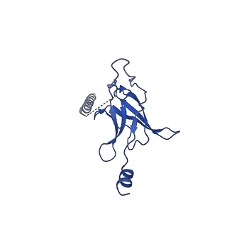 22116_6xbd_F_v1-2
Cryo-EM structure of MlaFEDB in nanodiscs with phospholipid substrates