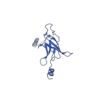 22116_6xbd_F_v1-3
Cryo-EM structure of MlaFEDB in nanodiscs with phospholipid substrates