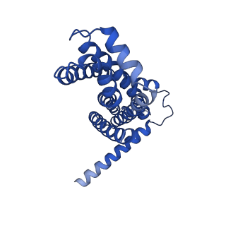 22116_6xbd_G_v1-2
Cryo-EM structure of MlaFEDB in nanodiscs with phospholipid substrates