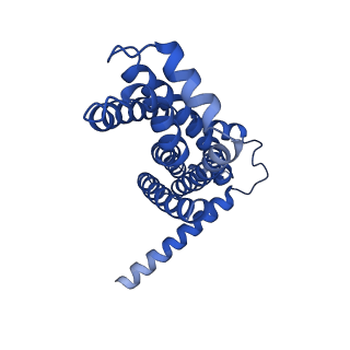 22116_6xbd_G_v1-3
Cryo-EM structure of MlaFEDB in nanodiscs with phospholipid substrates