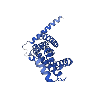 22116_6xbd_H_v1-2
Cryo-EM structure of MlaFEDB in nanodiscs with phospholipid substrates
