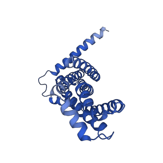 22116_6xbd_H_v1-3
Cryo-EM structure of MlaFEDB in nanodiscs with phospholipid substrates