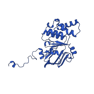 22116_6xbd_I_v1-2
Cryo-EM structure of MlaFEDB in nanodiscs with phospholipid substrates