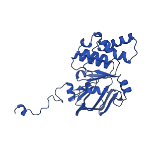 22116_6xbd_I_v1-3
Cryo-EM structure of MlaFEDB in nanodiscs with phospholipid substrates