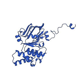 22116_6xbd_J_v1-2
Cryo-EM structure of MlaFEDB in nanodiscs with phospholipid substrates