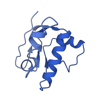 22116_6xbd_L_v1-3
Cryo-EM structure of MlaFEDB in nanodiscs with phospholipid substrates