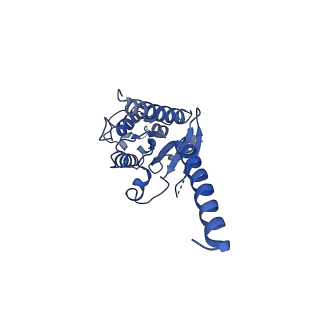 22117_6xbj_A_v1-1
Structure of human SMO-D384R complex with Gi