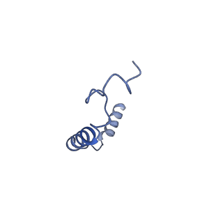 22117_6xbj_G_v1-1
Structure of human SMO-D384R complex with Gi