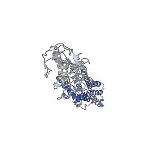 22117_6xbj_R_v1-1
Structure of human SMO-D384R complex with Gi