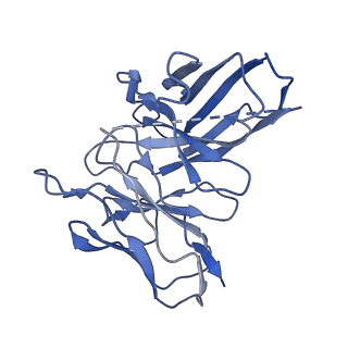 22117_6xbj_S_v1-1
Structure of human SMO-D384R complex with Gi