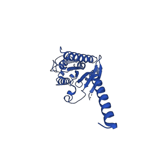 22118_6xbk_A_v1-1
Structure of human SMO-G111C/I496C complex with Gi