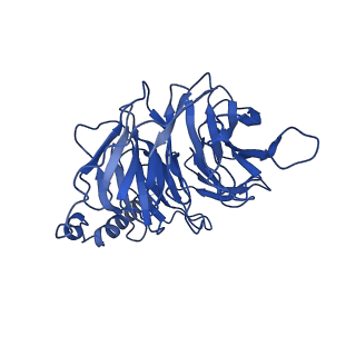 22118_6xbk_B_v1-1
Structure of human SMO-G111C/I496C complex with Gi