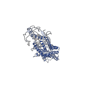 22118_6xbk_R_v1-1
Structure of human SMO-G111C/I496C complex with Gi