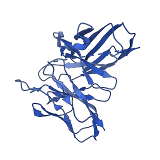22118_6xbk_S_v1-1
Structure of human SMO-G111C/I496C complex with Gi