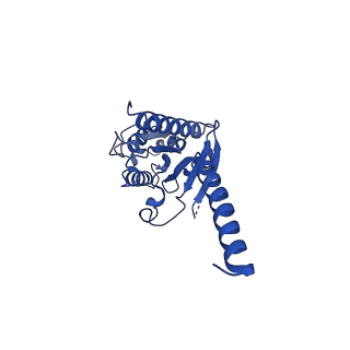 22120_6xbm_A_v1-2
Structure of human SMO-Gi complex with 24(S),25-EC