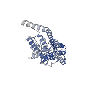 22120_6xbm_R_v1-2
Structure of human SMO-Gi complex with 24(S),25-EC