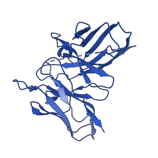 22120_6xbm_S_v1-2
Structure of human SMO-Gi complex with 24(S),25-EC