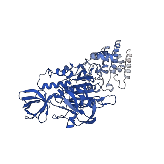 22121_6xbw_A_v1-0
Cryo-EM structure of V-ATPase from bovine brain, state 1