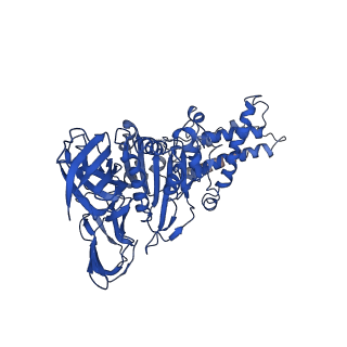 22121_6xbw_B_v1-0
Cryo-EM structure of V-ATPase from bovine brain, state 1