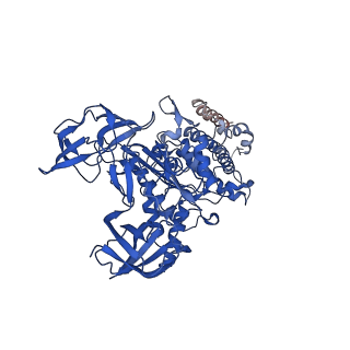 22121_6xbw_C_v1-0
Cryo-EM structure of V-ATPase from bovine brain, state 1