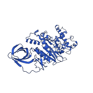 22121_6xbw_D_v1-0
Cryo-EM structure of V-ATPase from bovine brain, state 1