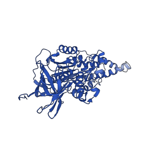 22121_6xbw_E_v1-0
Cryo-EM structure of V-ATPase from bovine brain, state 1