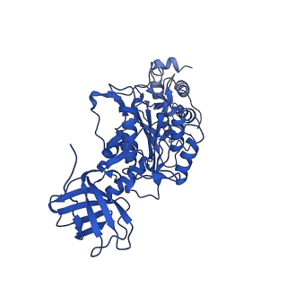 22121_6xbw_F_v1-0
Cryo-EM structure of V-ATPase from bovine brain, state 1