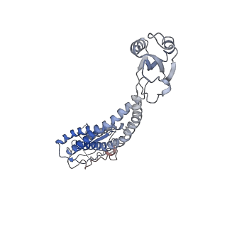 22121_6xbw_G_v1-0
Cryo-EM structure of V-ATPase from bovine brain, state 1