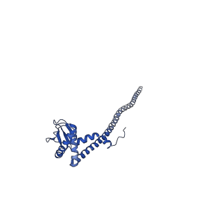 22121_6xbw_J_v1-0
Cryo-EM structure of V-ATPase from bovine brain, state 1