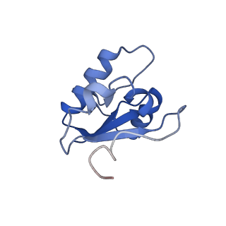 22121_6xbw_L_v1-0
Cryo-EM structure of V-ATPase from bovine brain, state 1