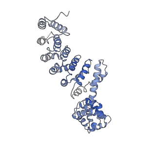 22121_6xbw_P_v1-0
Cryo-EM structure of V-ATPase from bovine brain, state 1