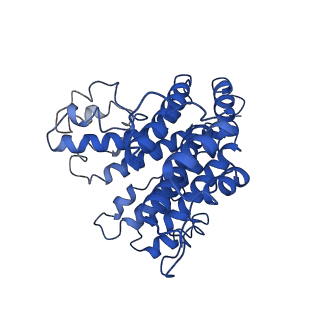 22121_6xbw_d_v1-0
Cryo-EM structure of V-ATPase from bovine brain, state 1