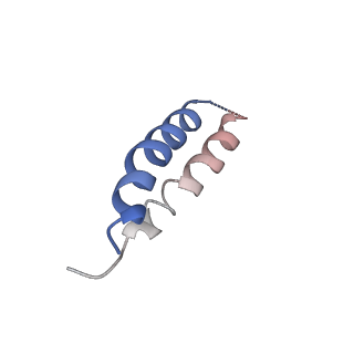 22121_6xbw_f_v1-0
Cryo-EM structure of V-ATPase from bovine brain, state 1