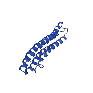 22121_6xbw_g_v1-0
Cryo-EM structure of V-ATPase from bovine brain, state 1