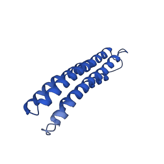 22121_6xbw_l_v1-0
Cryo-EM structure of V-ATPase from bovine brain, state 1